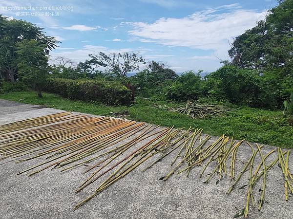 【台東成功】阿美族民俗中心:戶外表演廣場,直接面對太平洋;A