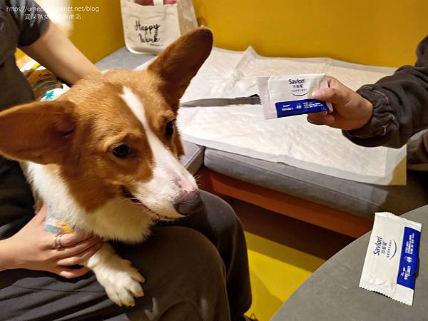 【台北捷運中山國小站】批薩謎勒:2023年9月開幕,晴光市場 【台北捷運中山國小站】批薩謎勒:2023年9月開幕,晴光市場