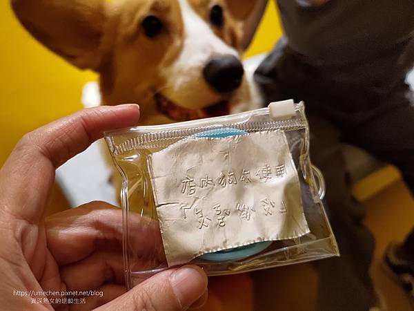 【台北捷運中山國小站】批薩謎勒:2023年9月開幕,晴光市場 【台北捷運中山國小站】批薩謎勒:2023年9月開幕,晴光市場