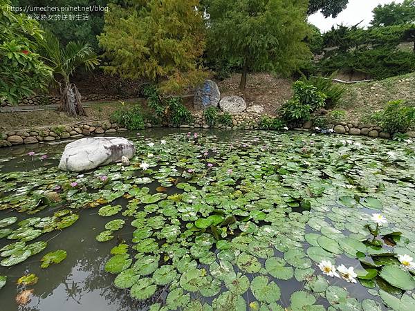 【苗栗通霄】藍鵲渡假莊園：超多住宿房型任你選，移動城堡、檜意