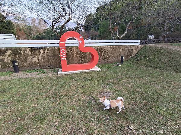 【苗栗南庄】樂吧溪畔莊園：2023開幕寵物餐廳、民宿，戶外多