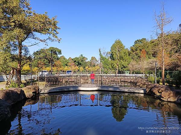 【苗栗南庄】樂吧溪畔莊園：2023開幕寵物餐廳、民宿，戶外多