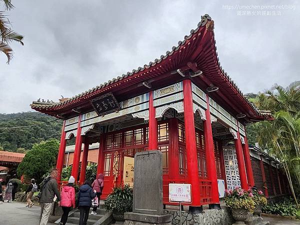 【台北士林】2024士林官邸春節花卉展:夢幻彩虹吸染花、20 【台北士林】2024士林官邸春節花卉展:夢幻彩虹吸染花、20