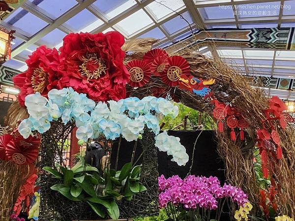 【台北士林】2024士林官邸春節花卉展:夢幻彩虹吸染花、20 【台北士林】2024士林官邸春節花卉展:夢幻彩虹吸染花、20