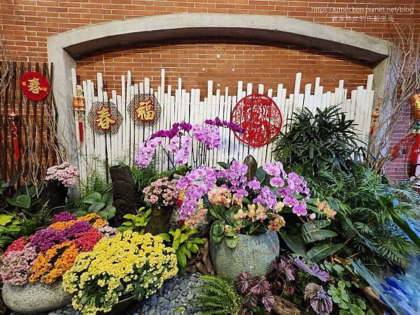 【台北士林】2024士林官邸春節花卉展:夢幻彩虹吸染花、20 【台北士林】2024士林官邸春節花卉展:夢幻彩虹吸染花、20