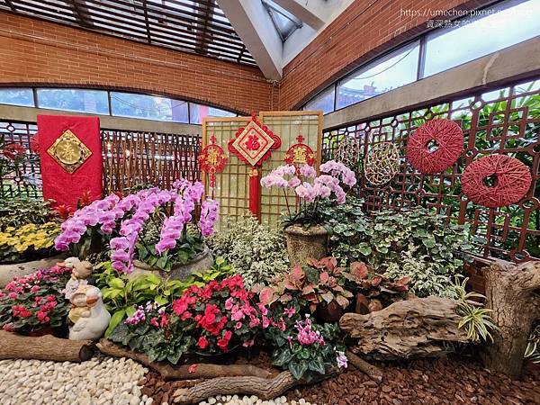 【台北士林】2024士林官邸春節花卉展:夢幻彩虹吸染花、20 【台北士林】2024士林官邸春節花卉展:夢幻彩虹吸染花、20
