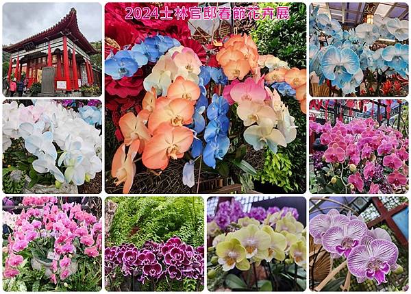 2024士林官邸春節花卉展.jpg 2024士林官邸春節花卉展.jpg