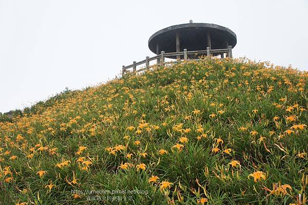 【台東旅遊】太麻里鄉：一日、二日遊，景點、住宿懒人包｜循台9