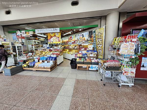 【日本高知】高知龍馬機場:特別的日本出入境體驗,目前不必登錄 【日本高知】高知龍馬機場:特別的日本出入境體驗,目前不必登錄