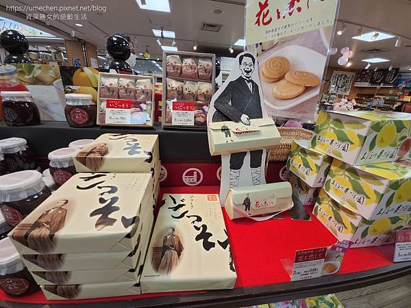 【日本高知】高知龍馬機場:特別的日本出入境體驗,目前不必登錄 【日本高知】高知龍馬機場:特別的日本出入境體驗,目前不必登錄