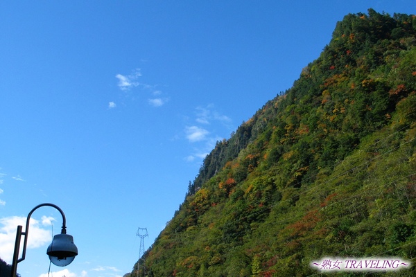 4g-臥龍熊貓-藍天下的保護區山景.jpg