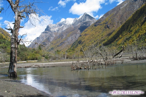 雙橋溝-枯樹灘-站在泥沼地(5).jpg