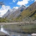 雙橋溝-枯樹灘-站在泥沼地(5).jpg