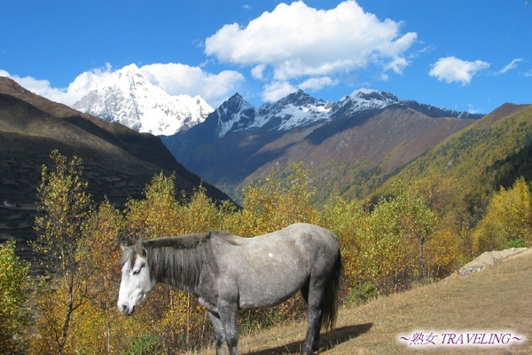 海子溝--白雲駿馬與四座姑娘山.jpg