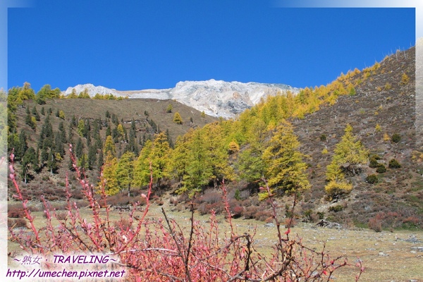 往洛絨牛場-休息處四週風景.jpg