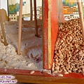 觀景台賓館-大廳-卓蘇切瑪-一邊裝滿乾炒的麥粒.jpg