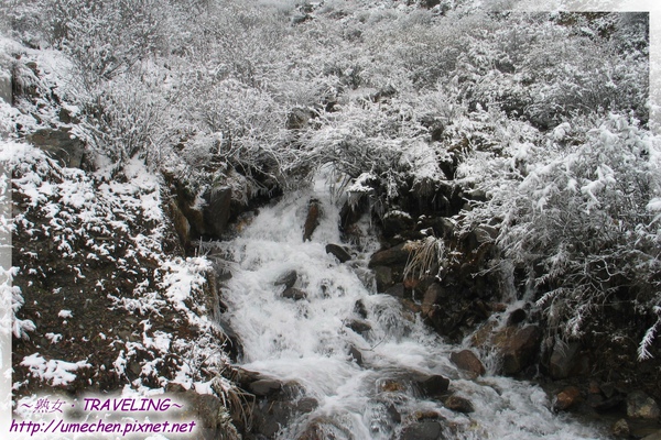 折多山-冰雪的異想世界(5)未結凍的小小急流.jpg