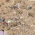 往昂拉山-這山頭看到很多被丟的鞋.jpg