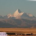 帕羊草原-清晨的喜馬拉雅山脈,草原與犛牛-8.jpg
