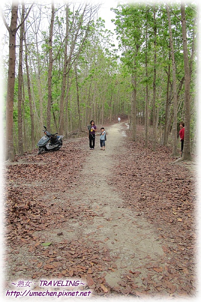 順賢宮-林間步道-2.jpg