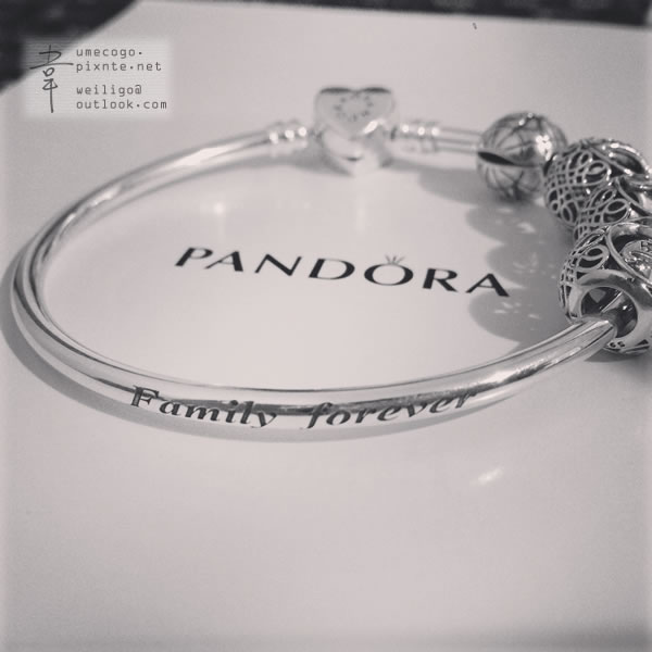 Pandora 我的潘朵拉收集之路碎碎唸 銀飾清潔保養 韋韋 Wallis 日打回憶中 痞客邦