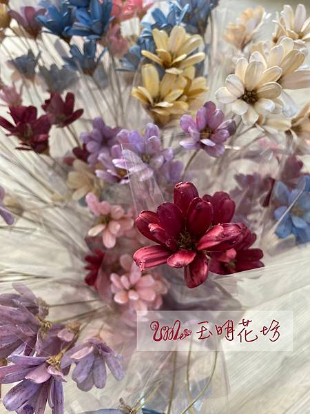 高雄乾燥花哪裡買_鳳山花店_玉明花坊_UME_瓜子花 (18).jpg