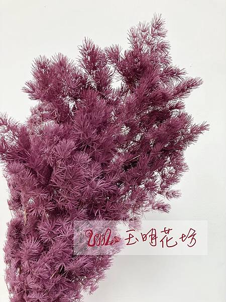 高雄乾燥花_乾燥花批發_永生花專賣_永生蓬萊松_ume乾燥花_玉明花坊 (5).jpg