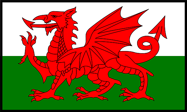 Flag_of_Wales_2_bordered.svg_.png