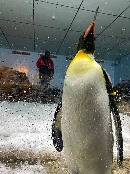 2021-02-21水族館_210303_7.jpg