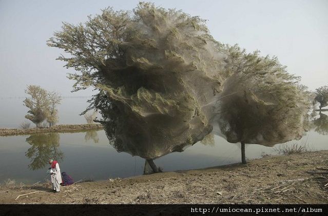 元辰宮 轉好運 絲雨老師