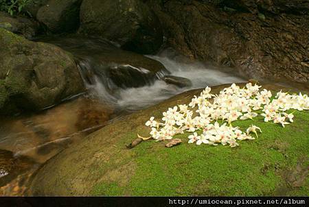 元辰宮 轉好運 絲雨老師 元辰宮 轉好運 絲雨老師
