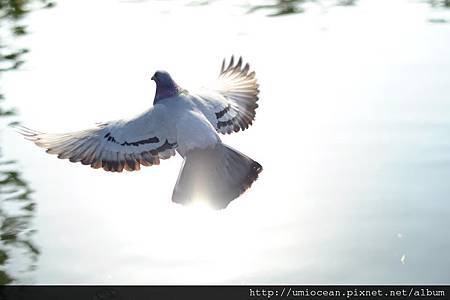 元辰宮 轉好運 絲雨老師 元辰宮 轉好運 絲雨老師