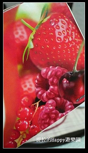 20100101豐富莓果香氣的Twinings唐寧四紅果茶  (4)