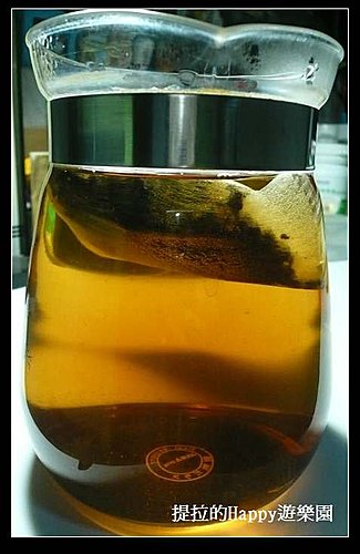 20100425小小濾茶袋＿幫你的茶葉作好管理  (5)