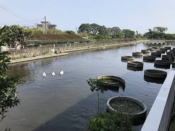 [宜蘭旅遊景點] 甲鳥園-近礁溪市區親子生態養鴨農場，親手餵