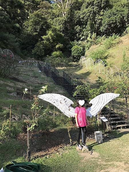 [苗栗景點] 雅聞七里香玫瑰森林-免門票觀光工廠 四館齊放玫