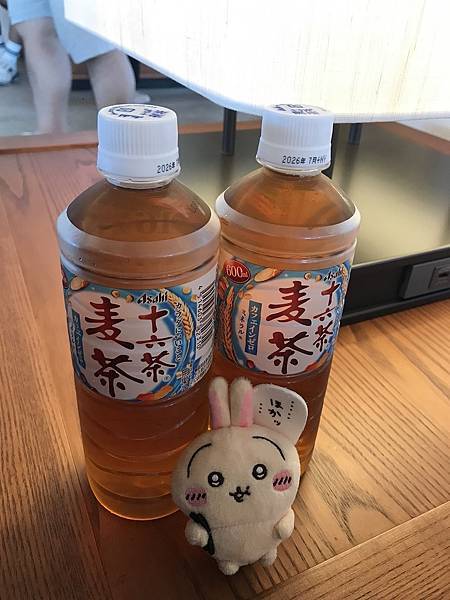 [沖繩宮古旅遊] 下地島機場(上篇)- 星宇航空直航宮古島 