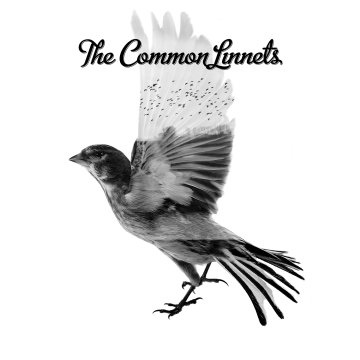 The Common Linnets.jpg The Common Linnets.jpg