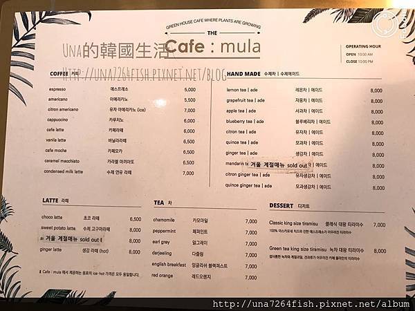 ☆新沙站-隱藏在巷弄內純白色的玻璃屋咖啡廳★Cafe Mul