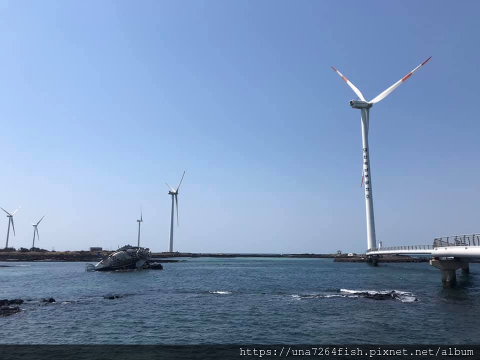 新昌風車海岸 12.jpg