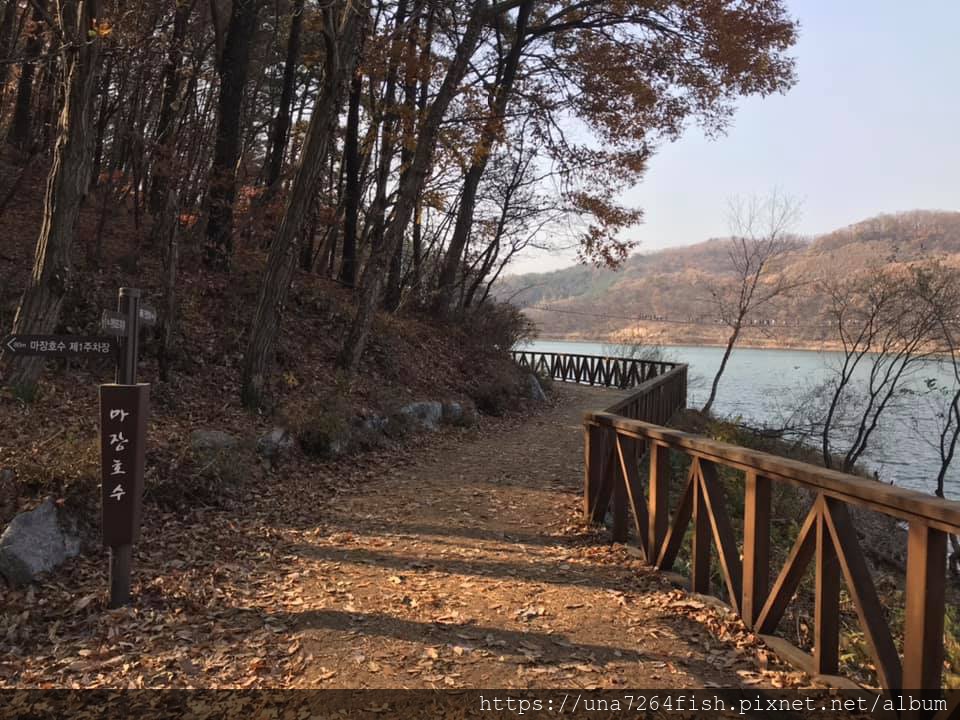 京畿道坡州 挑戰你的膽量 搖很大的馬場湖水吊橋마장호수출렁다리 Una的韓國生活 痞客邦