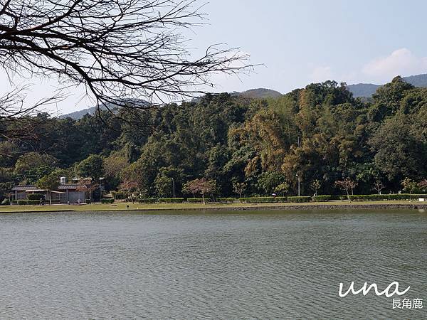 碧湖公園湖景