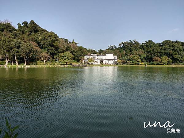 碧湖公園超美湖景