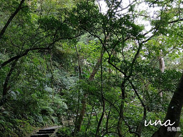 台北內湖白鷺鷥山親山步道