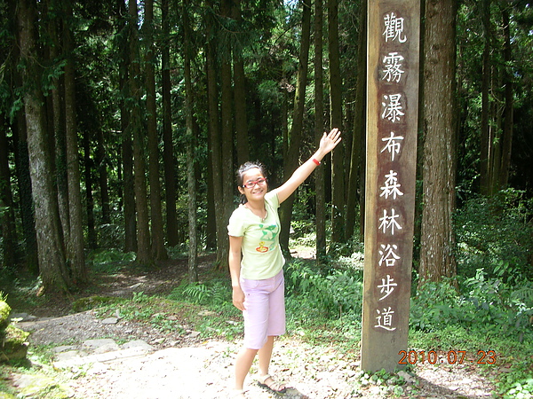 觀霧登山步道