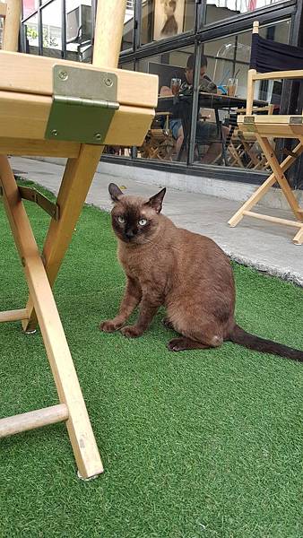 04.06 Thai_180423_0232.jpg