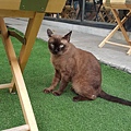 04.06 Thai_180423_0232.jpg
