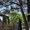 挑戰婚紗成功 day3_180912_0090.jpg