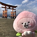 Una family trip_181015_0028.jpg