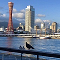 Una family trip_181015_0132.jpg